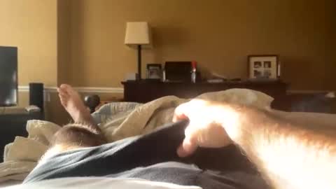 Snapshot of backbay90 chatting on December 31, 2024, 2:03 pm Backbay90 online show from December 31, 2024, 2:03 pm