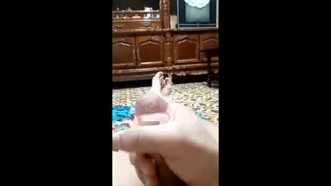 Snapshot of bahaa5555 chatting on February 12, 2026, 4:18 am bahaa5555 online show from February 12, 2026, 4:18 am