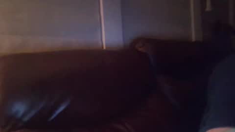 Snapshot of bake66999 chatting on February 5, 2026, 6:18 am bake66999 online show from February 5, 2026, 6:18 am