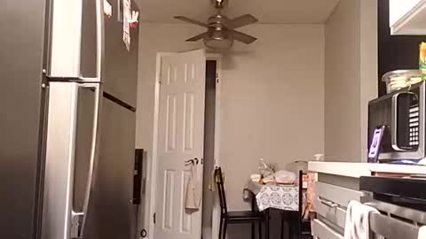 Snapshot of bambihasit chatting on October 25, 2025, 1:24 am bambihasit online show from October 25, 2025, 1:24 am