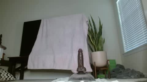 Snapshot of bambirachel1 chatting on June 23, 2026, 11:36 pm bambirachel1 online show from June 23, 2026, 11:36 pm