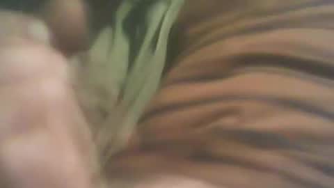 Snapshot of bandapart chatting on September 8, 2025, 5:01 pm bandapart online show from September 8, 2025, 5:01 pm