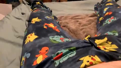 bandman862 online show from January 23, 2025, 12:25 am