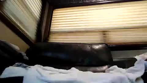 Snapshot of baobabtree8 chatting on February 26, 2025, 2:14 pm baobabtree8 online show from February 26, 2025, 2:14 pm