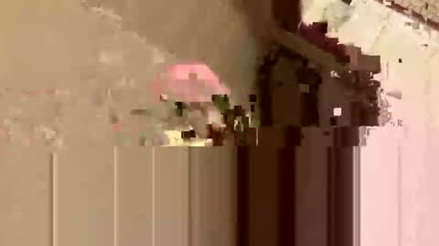 barkley314 online show from November 3, 2025, 2:18 pm