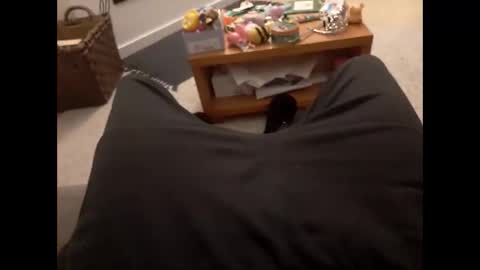 baxter78 online show from February 1, 2025, 6:29 pm