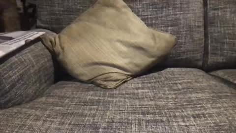 Snapshot of baykiwi54 chatting on December 17, 2024, 8:45 am baykiwi54 online show from December 17, 2024, 8:45 am