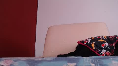 Snapshot of bayonette_black chatting on September 26, 2025, 12:09 pm bayonette_black online show from September 26, 2025, 12:09 pm