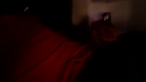 bbetoven online show from October 27, 2025, 6:50 am