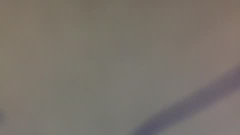 Snapshot of bbnamelezz chatting on March 14, 2026, 8:31 am BB Namelezz online show from March 14, 2026, 8:31 am