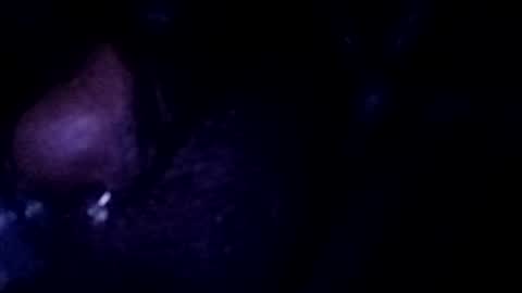 bcfalcon69 online show from July 25, 2026, 3:04 am