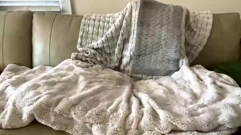 BeachyMILF online show from November 28, 2025, 7:38 pm