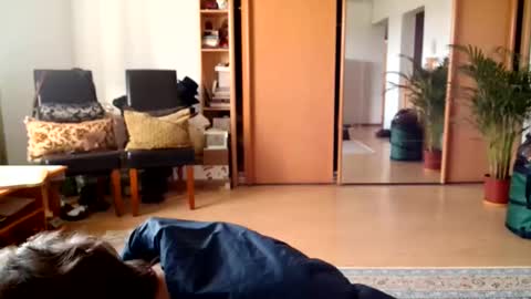 Raluca online show from May 15, 2026, 3:08 pm
