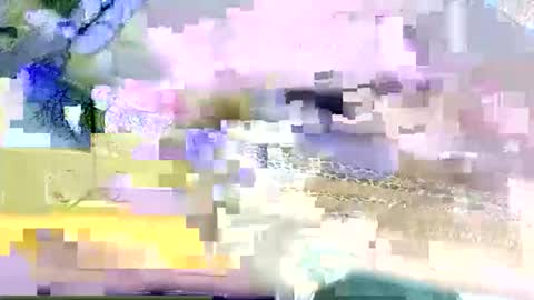 beencee2 online show from March 9, 2026, 5:22 am