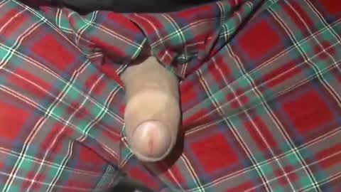 Snapshot of beer27 chatting on October 21, 2025, 10:05 am Reservoir Dogs online show from October 21, 2025, 10:05 am