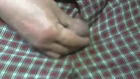 Snapshot of beer27 chatting on October 31, 2025, 5:47 pm Reservoir Dogs online show from October 31, 2025, 5:47 pm