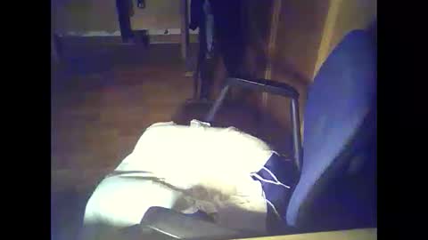 bekklove1 online show from February 9, 2026, 2:37 am