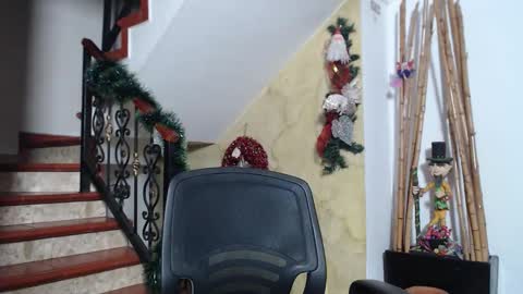 independent model online show from November 29, 2025, 11:19 pm