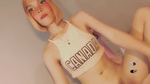 Snapshot of bella_tara chatting on December 28, 2024, 7:33 am Bella online show from December 28, 2024, 7:33 am