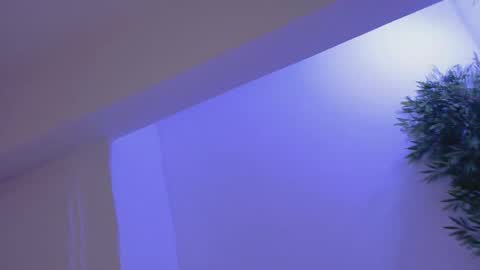 Bella online show from February 19, 2026, 8:49 pm