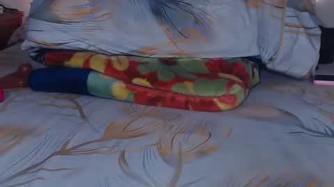 bella_xx9 online show from February 3, 2025, 2:14 am