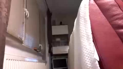 Benutzmich0800 online show from February 14, 2026, 2:19 am