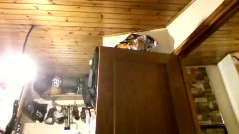 bernichaos77 online show from February 21, 2026, 2:34 am