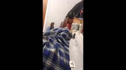 bertpace9296 online show from May 23, 2026, 3:34 am