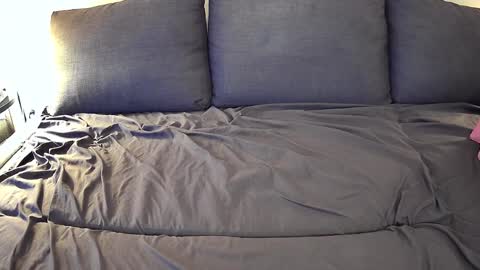 Snapshot of bfox254 chatting on February 23, 2025, 12:19 am Brian Fox online show from February 23, 2025, 12:19 am