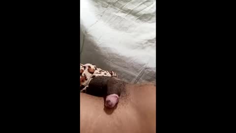 biel369737 online show from March 2, 2026, 4:36 am