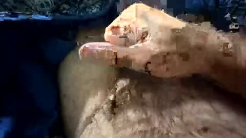 big88385909 online show from October 21, 2025, 12:11 am