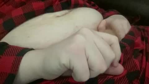 Big Pesch online show from April 24, 2026, 4:26 am