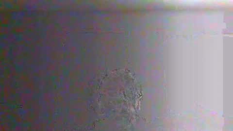 bigalnoone online show from March 26, 2026, 10:04 pm