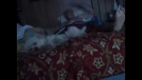 BB online show from October 20, 2025, 1:28 am