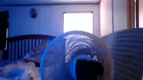 Snapshot of bigbenidick1 chatting on March 28, 2026, 8:30 pm BB online show from March 28, 2026, 8:30 pm