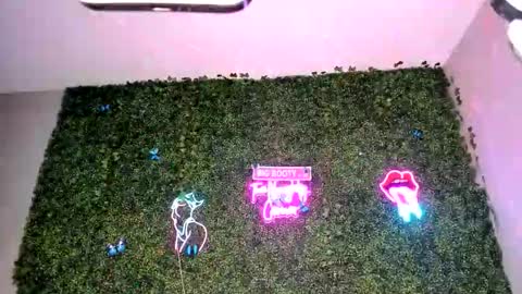 bigbuttsarena online show from April 22, 2026, 6:27 am