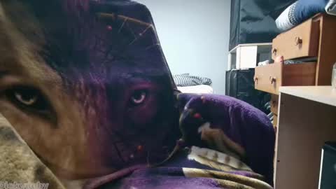 Snapshot of bigdickyduby chatting on November 12, 2025, 2:01 am George Forest Dickyduby on all Socials online show from November 12, 2025, 2:01 am