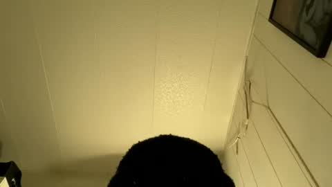 Snapshot of bigdickywn chatting on July 5, 2026, 4:30 am bigdickywn online show from July 5, 2026, 4:30 am