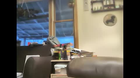 Snapshot of bigelectricrod chatting on February 1, 2025, 11:54 am bigelectricrod online show from February 1, 2025, 11:54 am