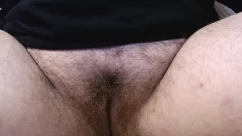 Snapshot of bighairyabby chatting on May 15, 2026, 3:46 am Abby online show from May 15, 2026, 3:46 am