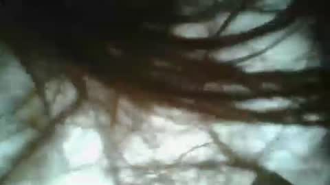 Snapshot of bigjames_chicago chatting on January 19, 2025, 3:42 pm daddy online show from January 19, 2025, 3:42 pm