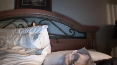 bigload1972 online show from January 22, 2025, 3:09 am