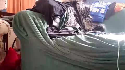 Snapshot of bigmanaround9 chatting on December 11, 2024, 8:39 pm bigmanaround9 online show from December 11, 2024, 8:39 pm