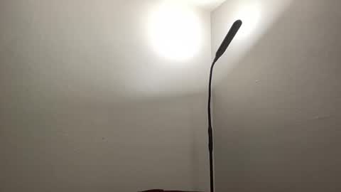 Nick Barker online show from January 26, 2025, 1:20 am