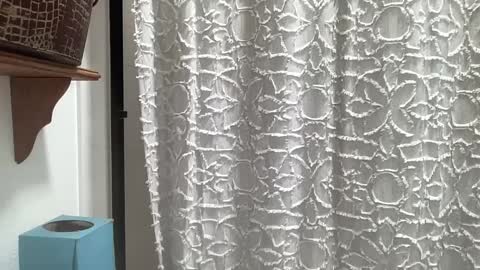 Snapshot of bigmountainoh chatting on September 21, 2025, 5:47 pm Jay online show from September 21, 2025, 5:47 pm