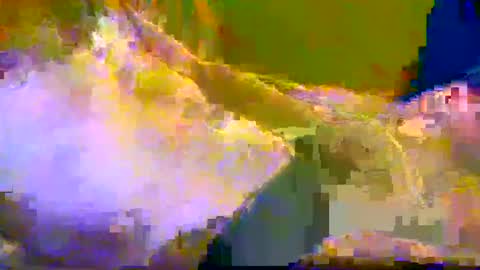 Snapshot of bigrigxxxx chatting on December 10, 2024, 12:16 pm bigrig online show from December 10, 2024, 12:16 pm