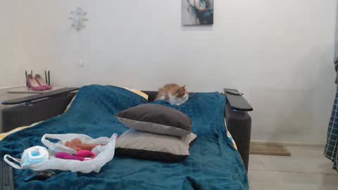 BigTwinsOmg online show from February 27, 2026, 5:51 am