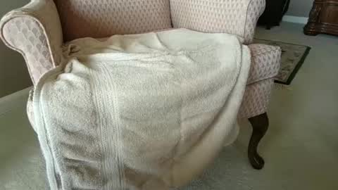 billernest99 online show from October 1, 2025, 5:52 pm