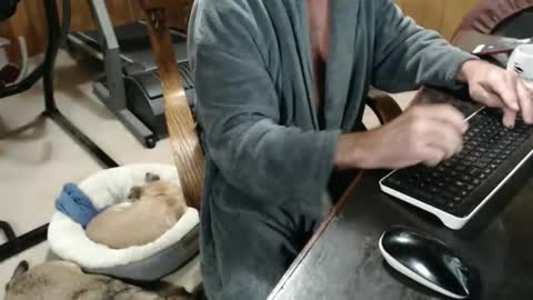 billy471 online show from November 20, 2025, 3:12 pm