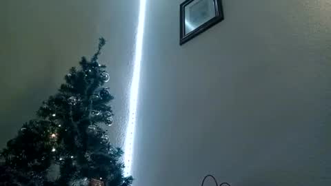 Bill online show from January 6, 2025, 10:24 am